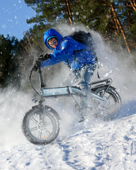 TESCO Folding Electric Bicycle for Adult TESCO Folding Electric Bicycle for Adult