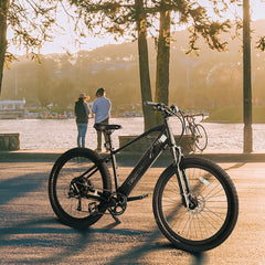 Trustmade Ebike Trustmade Ebike