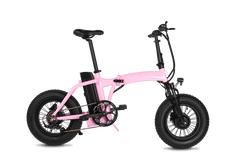 Dual-Drive Fat Tire E-bike Pro Dual-Drive Fat Tire E-bike Pro