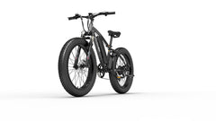 GOGOBEST Fat Tire Electric Mountain Bike GOGOBEST Fat Tire Electric Mountain Bike