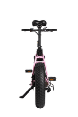 Dual-Drive Fat Tire E-bike Pro Dual-Drive Fat Tire E-bike Pro