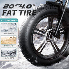 Adult Electric Bike 750W  with Samsung 48V 12.8Ah Lithium Battery Adult Electric Bike 750W  with Samsung 48V 12.8Ah Lithium Battery