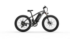 GOGOBEST Fat Tire Electric Mountain Bike GOGOBEST Fat Tire Electric Mountain Bike