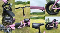 Dual-Drive Fat Tire E-bike Pro Dual-Drive Fat Tire E-bike Pro