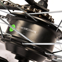 Miclon Electric Bikes M700 Miclon Electric Bikes M700