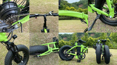 Dual-Drive Fat Tire E-bike Pro Dual-Drive Fat Tire E-bike Pro