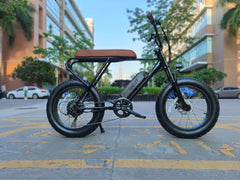 Mini Swell Electric Bike Mini Swell Electric Bike