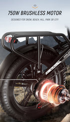 Adult Electric Bike 750W  with Samsung 48V 12.8Ah Lithium Battery Adult Electric Bike 750W  with Samsung 48V 12.8Ah Lithium Battery