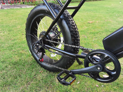 Mini Swell Electric Bike Mini Swell Electric Bike