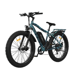 AOTIRMOTOR Electric Bicycle 750W