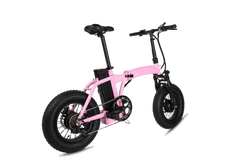 Dual-Drive Fat Tire E-bike Pro