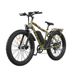 AOTIRMOTOR Electric Bicycle 750W