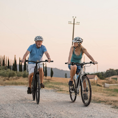 MICLON Electric bikes with fast charger