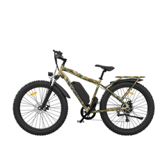 AOTIRMOTOR Electric Bicycle 750W