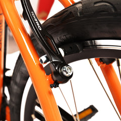 Electric Bike for Adults 350W Brushless Motor 10AH