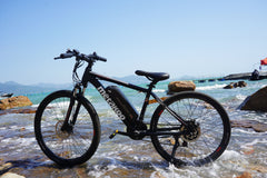 Electric Bike for Adults