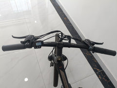 Electric Bike for Adults