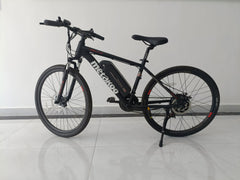 Electric Bike for Adults