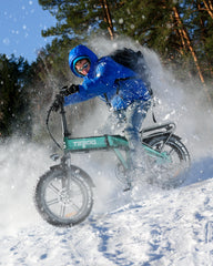 TESCO Folding Electric Bicycle for Adult