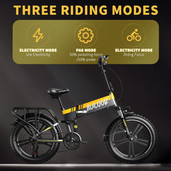 Auloor Foldable Electric Bike for Adults