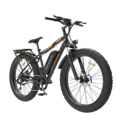 AOTIRMOTOR Electric Bicycle 750W