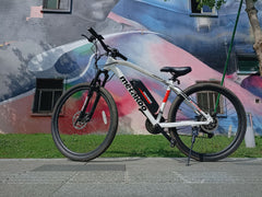 Metakoo Electric bikes with charger