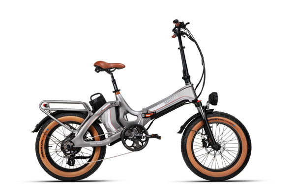 Electric Bicycle 48V 750W e Road Cruiser Electric Cargo Bike