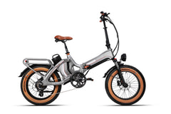 Electric Bicycle 48V 750W e Road Cruiser Electric Cargo Bike