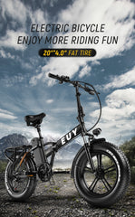 Electric Bike for Adults Ebikes 750w