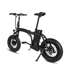 Dual-Drive Fat Tire E-bike Pro