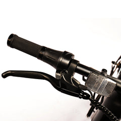 Miclon Electric Bikes M700