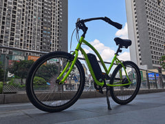 Miclon Electric Bike with charger