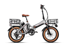 Electric Bicycle 48V 750W e Road Cruiser Electric Cargo Bike