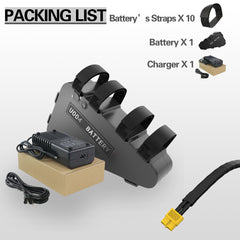 Electric Bike Lithinum Battery