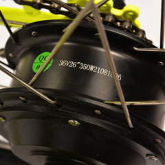 Miclon Electric Bike with charger