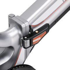 Electric Bicycle 48V 750W e Road Cruiser Electric Cargo Bike