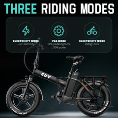 Electric Bike for Adults Ebikes 750w