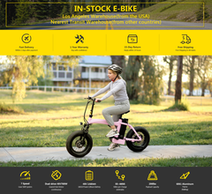 Dual-Drive Fat Tire E-bike Pro