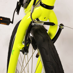 Miclon Electric Bike with charger