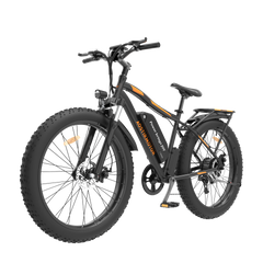 AOTIRMOTOR Electric Bicycle 750W