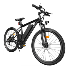 Non-foldable Electric Bike