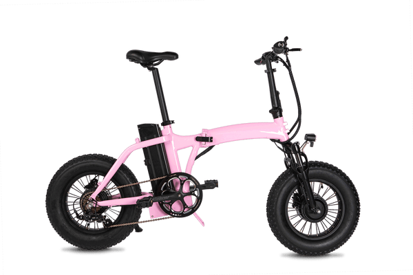 Dual-Drive Fat Tire E-bike Pro