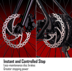 MICLON Electric bikes with fast charger