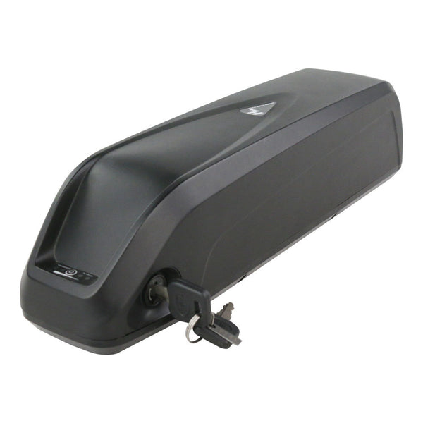 Ebike Battery Lithium ion Electric Bike Battery with Charger 36V /48V