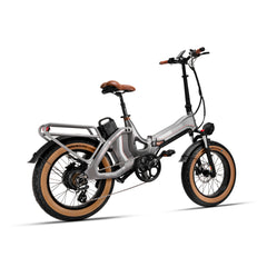 Electric Bicycle 48V 750W e Road Cruiser Electric Cargo Bike