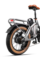 Electric Bicycle 48V 750W e Road Cruiser Electric Cargo Bike