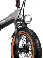 Electric Bicycle 48V 750W e Road Cruiser Electric Cargo Bike