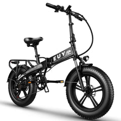 Adult Electric Bike 750W  with Samsung 48V 12.8Ah Lithium Battery