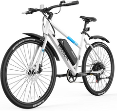 MICLON Electric bikes with fast charger