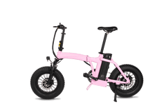 Dual-Drive Fat Tire E-bike Pro